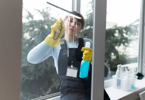Nettoyage de vitres intérieures et extérieures à Saint-Romain-de-Lerps